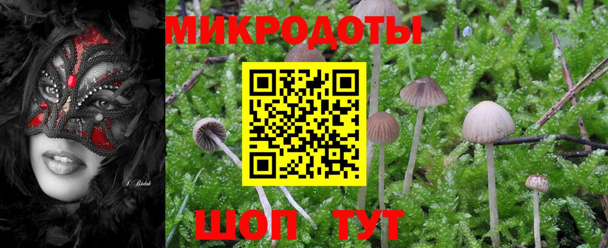 Галлюциногенные грибы Psilocybe  где продают наркотики  Черногорск  Псилоцибиновые грибы ЛСД  Вход с VPN 