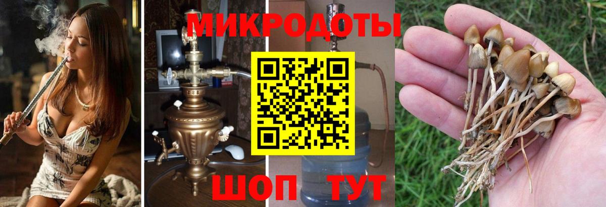 Псилоцибиновые грибы ЛСД Черногорск